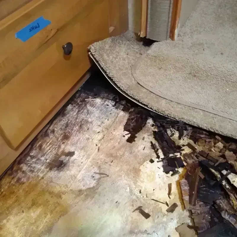 Wood Floor Water Damage in Arkansas County, AR